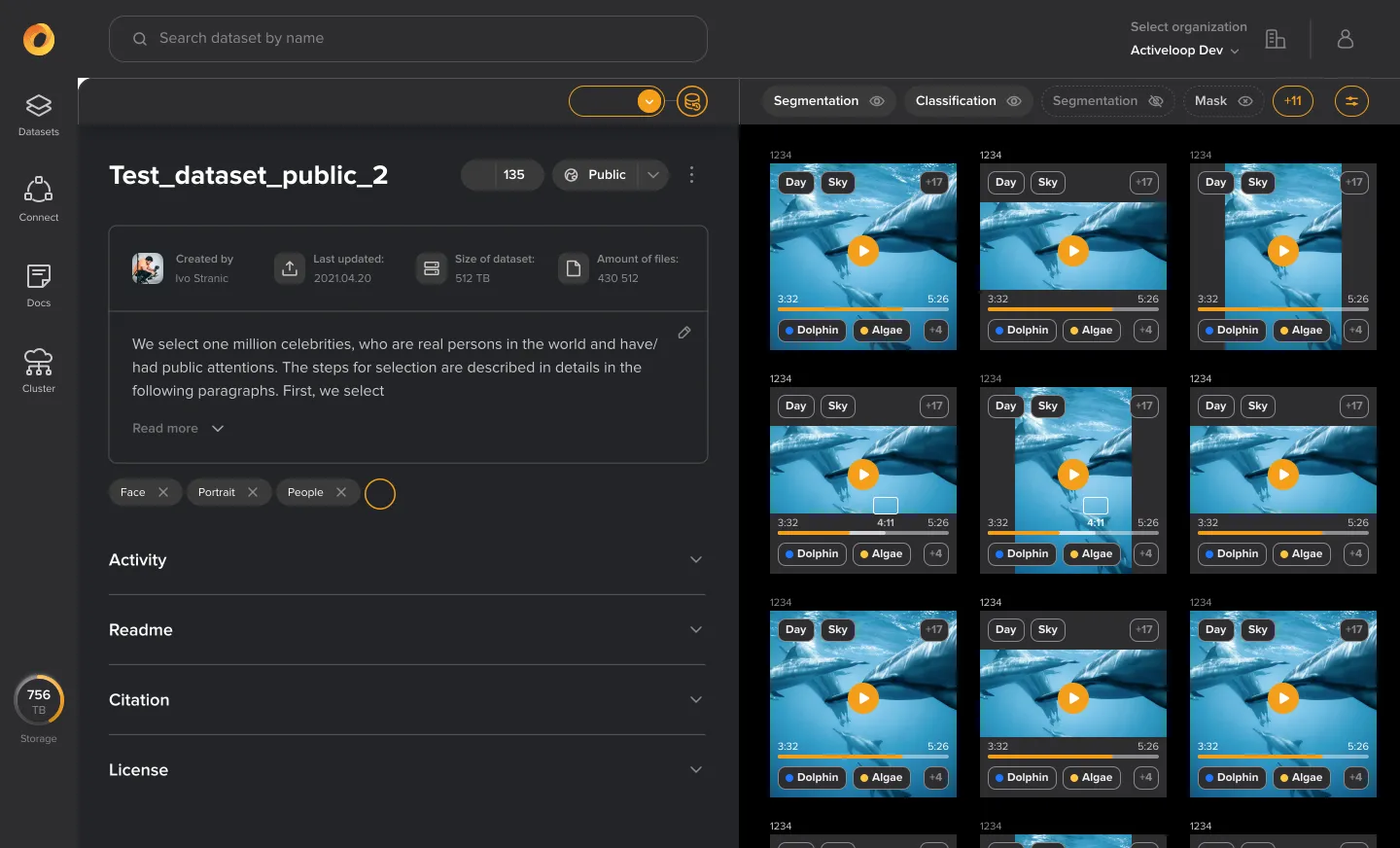 Video Use Case