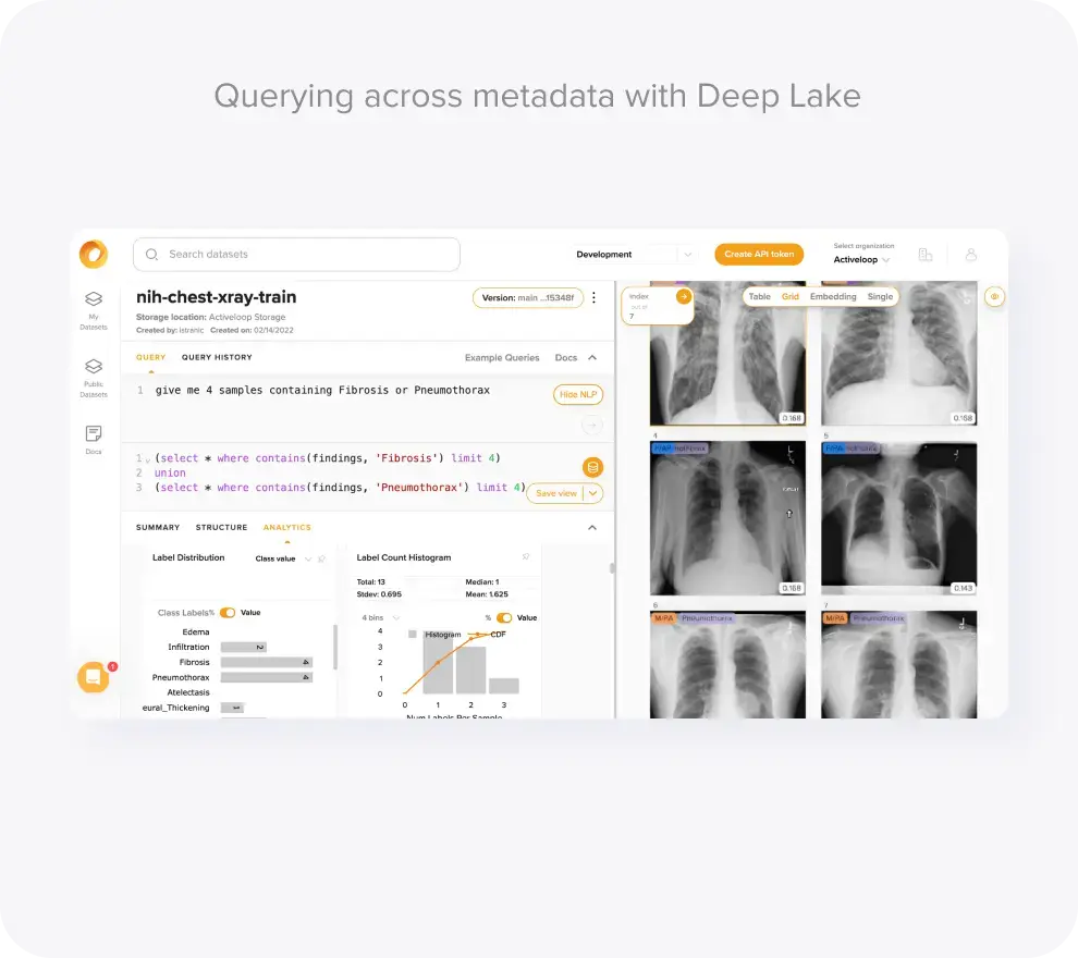activeloop desktop application